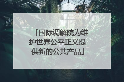国际调解院为维护世界公平正义提供新的公共产品