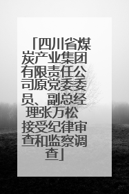 四川省煤炭产业集团有限责任公司原党委委员、副总经理张万松 接受纪律审查和监察调查
