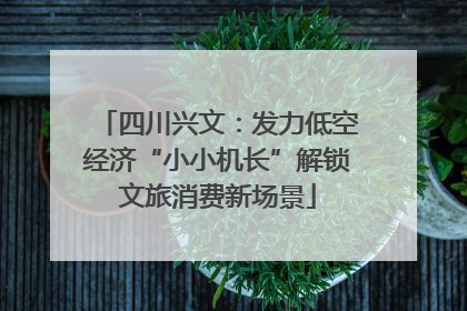 四川兴文：发力低空经济“小小机长”解锁文旅消费新场景