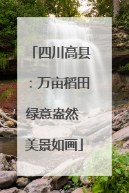 四川高县：万亩稻田绿意盎然 美景如画