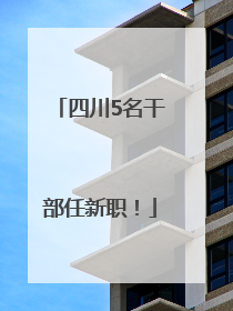 四川5名干部任新职！