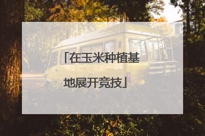 在玉米种植基地展开竞技