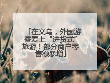 在义乌，外国游客爱上“进货式”旅游！部分商户零售额暴增