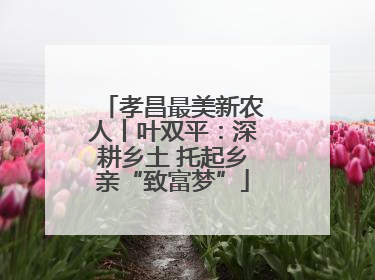 孝昌最美新农人丨叶双平：深耕乡土 托起乡亲“致富梦”