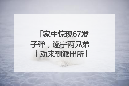 家中惊现67发子弹，遂宁两兄弟主动来到派出所