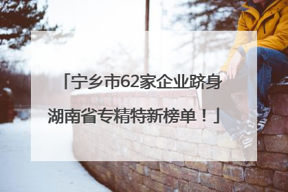 宁乡市62家企业跻身湖南省专精特新榜单！