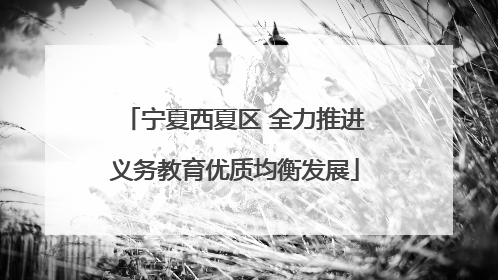 宁夏西夏区 全力推进义务教育优质均衡发展