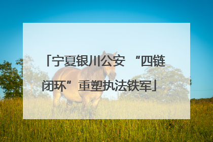 宁夏银川公安 “四链闭环”重塑执法铁军