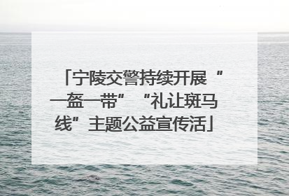 宁陵交警持续开展“一盔一带”“礼让斑马线”主题公益宣传活