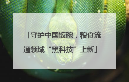 守护中国饭碗，粮食流通领域“黑科技”上新