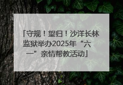 守规！望归！沙洋长林监狱举办2025年“六一”亲情帮教活动