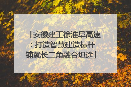 安徽建工徐淮阜高速：打造智慧建造标杆 铺就长三角融合坦途
