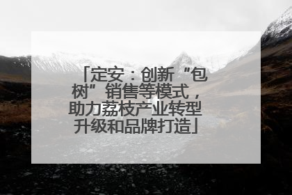 定安：创新“包树”销售等模式，助力荔枝产业转型升级和品牌打造