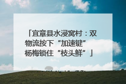 宜章县水浸窝村：双物流按下“加速键” 杨梅锁住“枝头鲜”