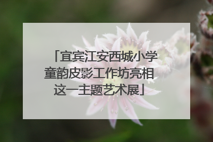 宜宾江安西城小学童韵皮影工作坊亮相这一主题艺术展