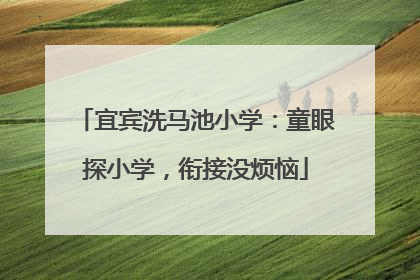 宜宾洗马池小学：童眼探小学，衔接没烦恼