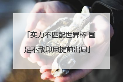 实力不匹配世界杯 国足不敌印尼提前出局