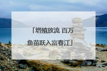 增殖放流 百万鱼苗跃入富春江
