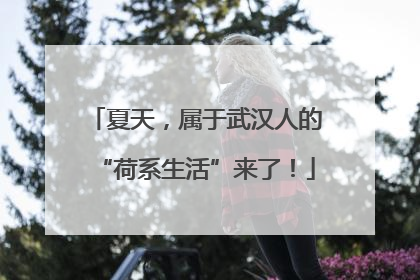 夏天，属于武汉人的“荷系生活”来了！