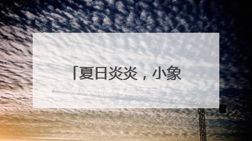 夏日炎炎，小象“崽崽” 向你发起玩水邀请