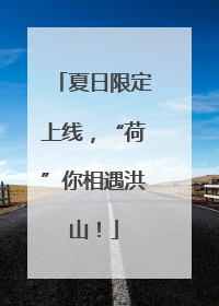 夏日限定上线，“荷”你相遇洪山！