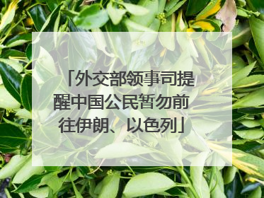 外交部领事司提醒中国公民暂勿前往伊朗、以色列