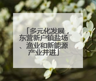 多元化发展，东营新户镇盐场、渔业和新能源产业并进