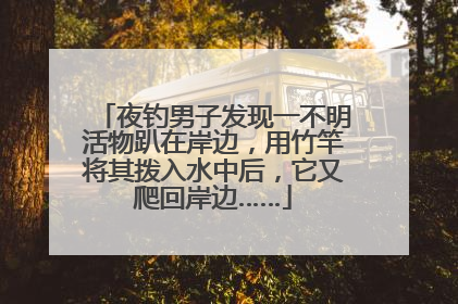 夜钓男子发现一不明活物趴在岸边，用竹竿将其拨入水中后，它又爬回岸边……