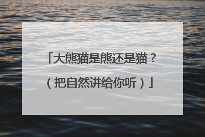 大熊猫是熊还是猫？（把自然讲给你听）
