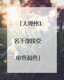 大理州1名干部接受审查调查