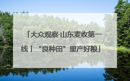 大众观察·山东麦收第一线丨“良种田”里产好粮