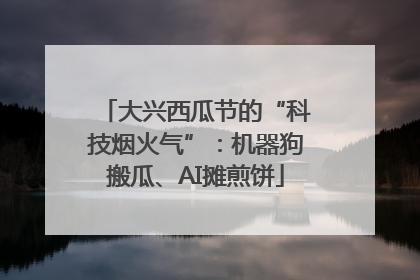 大兴西瓜节的“科技烟火气”：机器狗搬瓜、AI摊煎饼