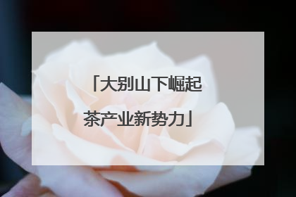 大别山下崛起茶产业新势力
