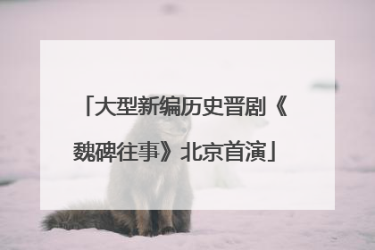 大型新编历史晋剧《魏碑往事》北京首演
