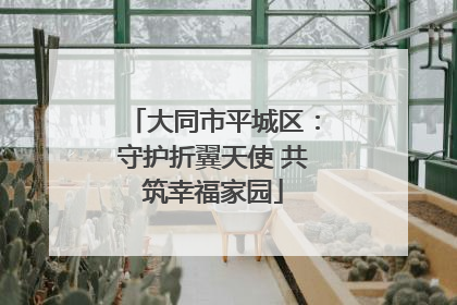 大同市平城区：守护折翼天使 共筑幸福家园
