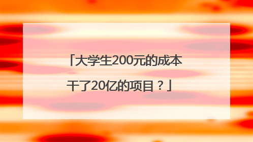 大学生200元的成本干了20亿的项目？