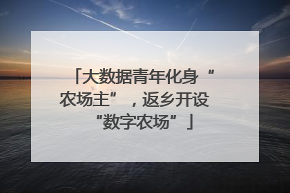 大数据青年化身“农场主”，返乡开设“数字农场”