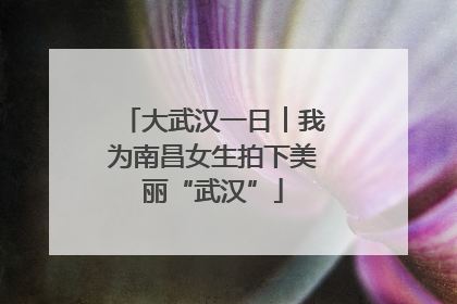 大武汉一日︱我为南昌女生拍下美丽“武汉”