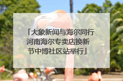 大象新闻与海尔同行 河南海尔专卖店换新节中博社区站举行