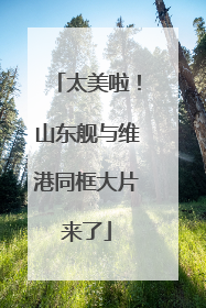 太美啦！山东舰与维港同框大片来了