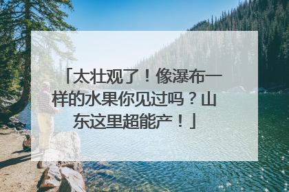 太壮观了！像瀑布一样的水果你见过吗？山东这里超能产！