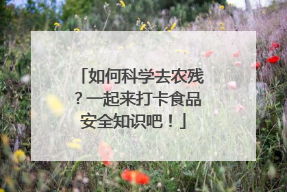 如何科学去农残？一起来打卡食品安全知识吧！