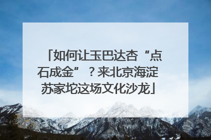 如何让玉巴达杏“点石成金”？来北京海淀苏家坨这场文化沙龙