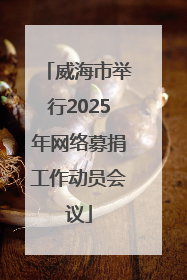 威海市举行2025年网络募捐工作动员会议