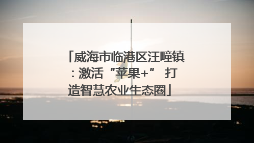 威海市临港区汪疃镇：激活“苹果+” 打造智慧农业生态圈