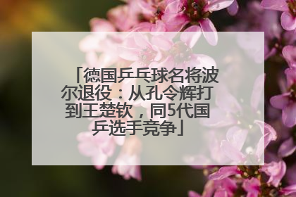 德国乒乓球名将波尔退役：从孔令辉打到王楚钦，同5代国乒选手竞争