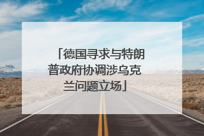 德国寻求与特朗普政府协调涉乌克兰问题立场