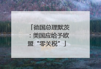 德国总理默茨：美国应给予欧盟“零关税”