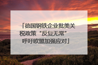 德国钢铁企业批美关税政策“反复无常” 呼吁欧盟加强应对