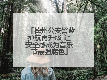德州公安警蓝护航再升级 让安全感成为音乐节最强底色